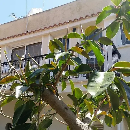 Holidays Anaphotia