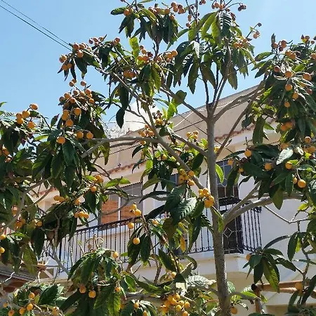 Διαμέρισμα Holidays *