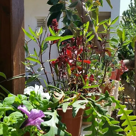 Holidays Anaphotia